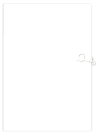 Teczka wiązana. A4+ biała bez linii. - Interdruk