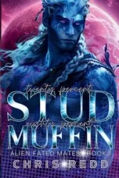 20% Stud 80% Muffin - Chris Redd