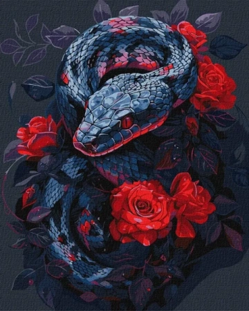 Malowanie po numerach - Niebezpieczna róża 40x50cm - Ideyka