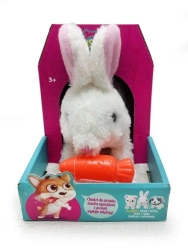 Królik chodzący z marchewką - Artyk