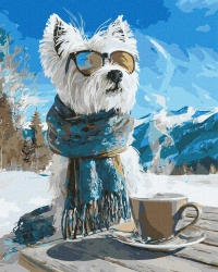 Malowanie po numerach -Zimowa przerwa 40x50cm - Ideyka