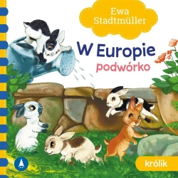 W Europie. Podwórko. Królik - Ewa Stadtmller