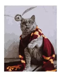 Malowanie po numerach - Magiczny kot 40x50cm - Twoje Hobby