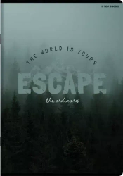 Zeszyt A5/60k kratka Basic Top Fol A 10