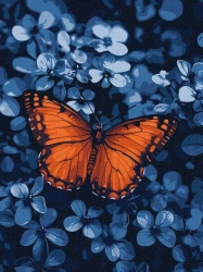 Malowanie po numerach - Światło wśród ciemności - Ideyka