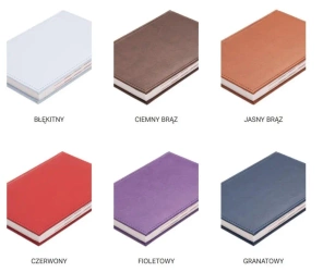 Kalendarz 2026 dzienny A5 Vivella MIX - Aniew