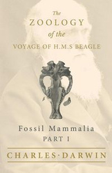 Fossil Mammalia - Part I - The Zoology of the Voyage of H.M.S Beagle - Charles Darwin
