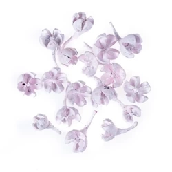 Suszone owoce różowe 10g - dp Craft