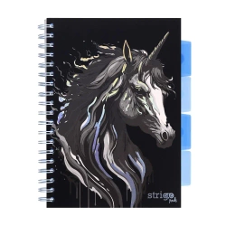 Kołozeszyt Strigo B5 Project Book Unicorn czarny kratka