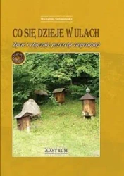 Co się dzieje w ulach - Michalina Stefanowska