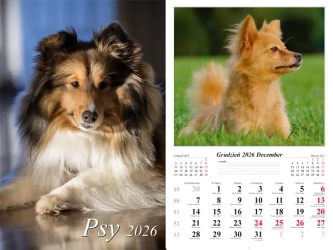 Kalendarz 2026 ścienny Psy - praca zbiorowa