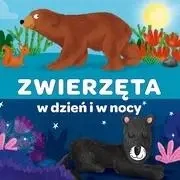 Kapitan Nauka. Harmonijka. Zwierzęta w dzień i w.. - praca zbiorowa