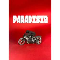 Wyjście - B. Carrot