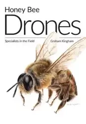 Honey Bee Drones - Graham Kingham