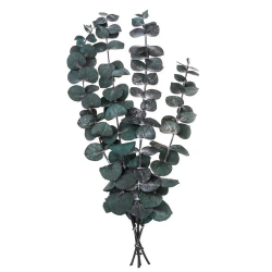 Eukaliptus baby blue 4 gałązki ok. 20cm zielony - Dalprint dpCraft