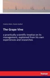 The Grape Vine - Mohr Friedrich