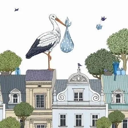 Karnet Swarovski kwadrat CL2409 Narodziny bocian - Clear Creations