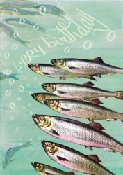 Karnet B6 z kopertą Urodziny Rybi chór - Madame Treacle