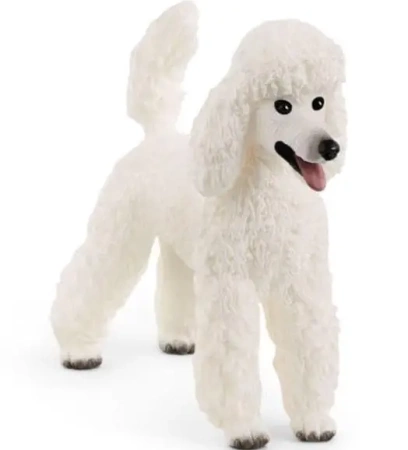 Pudel duży - SCHLEICH