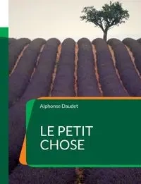 Le Petit Chose - Alphonse Daudet