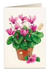 Karnet B6 + koperta 5756 Cyklamen - Tassotti