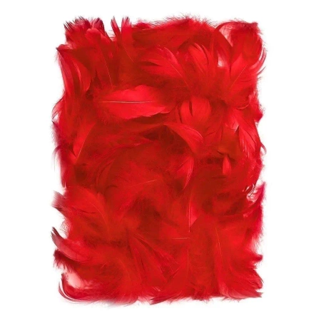 Piórka czerwone 5-12cm 10g - Dalprint dpCraft