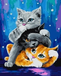 Malowanie po numerach 40x50 Kotki - Koh-I-Noor