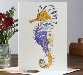 Karnet A037 B6 + koperta Konik morski - DM Collection