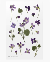 Naklejki ozdobne kwiaty - Fiołek - Appree