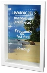 Skarbonka Home 3 - Wakacje 2 - Pan Dragon