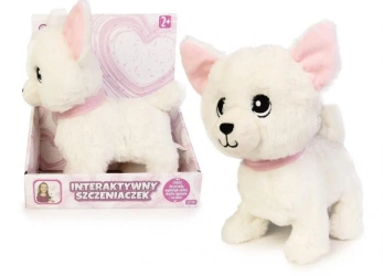 Pies chodzący mix - Artyk