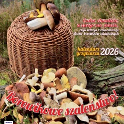 Kalendarz 2026 ścienny albumowy 30x30cm Grzybiarza - AVANTI