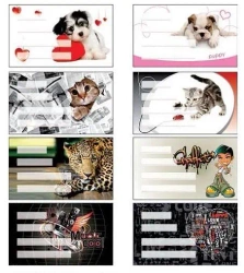 Naklejki na zeszyt Girls 24szt. - Panta Plast