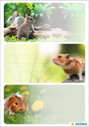 Naklejki szkolne - Gryzionie 9szt - Herma