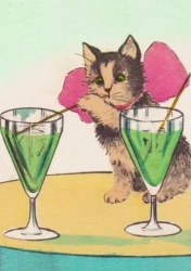Karnet B6 z kopertą Kot i drinki - Madame Treacle