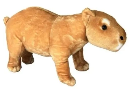 Kapibara 52cm - Dubi