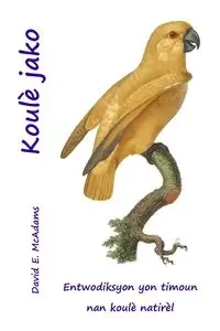 Koulè jako - David E. McAdams