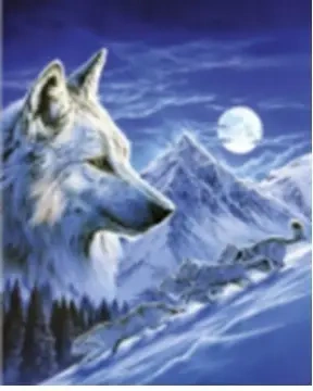 Diamentowa mozaika Wilk zimową nocą NO-1007000 - Norimpex