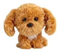 Lumo Cavapoo Teddy Classic (puppies) - Tactic