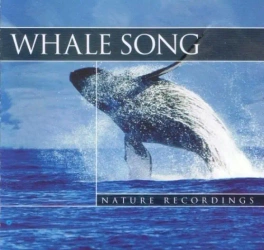 Whale Song - Wieloryby CD - CD-CONTACT
