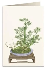 Karnet B6 + koperta 6013 Bambus - Tassotti