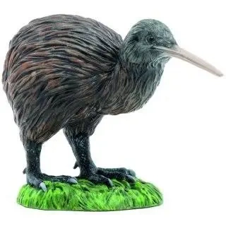 Kiwi - PAPO