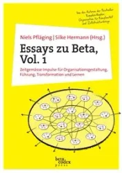 Essays zu Beta, Vol. 1 - Pfläging Niels
