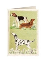 Karnet B6 + koperta 5905 Psy - Tassotti