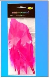 Piórka twarde różowe 10szt - Galeria Hobby