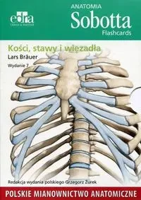 Anatomia Sobotta Flashcards Kości stawy i więzadła - Brauer Lars - pudełko kartonowe