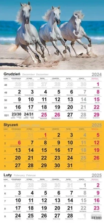 Kalendarz 2026 trójdzielny Zamek - praca zbiorowa