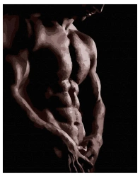 Malowanie po numerach. Męski tors - Twoje Hobby