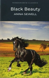 Black Beauty. Wordsworth Classics wer. angielska - Anna Sewell