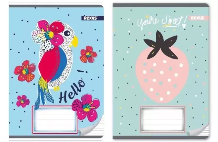 Zeszyt A5/16K linia Dziewczynka (20szt) - Beniamin